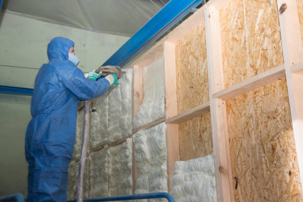 Best Soundproof Insulation Installation  in Saylorville, IA